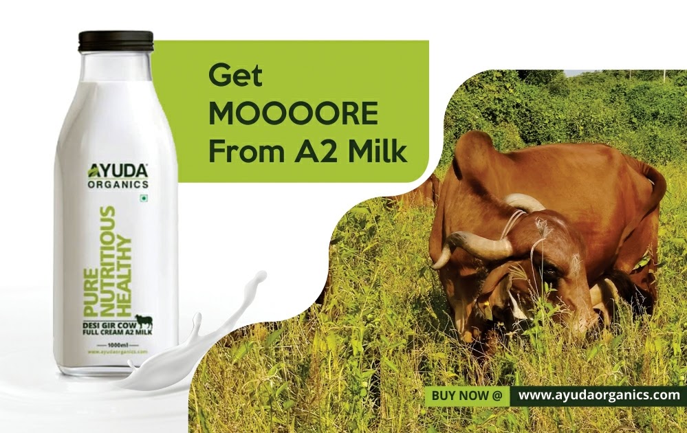 What is the process of producing Ayuda Organics A2 cow milk?