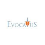 Evocatus Consulting Ltd Profile Picture