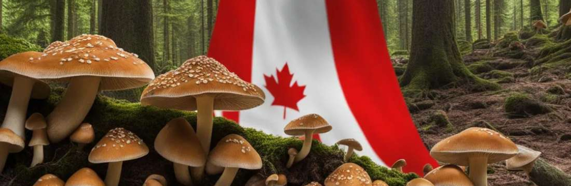 Organic Shroom Canada Cover Image