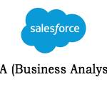 Salesforce BA Online Training Profile Picture
