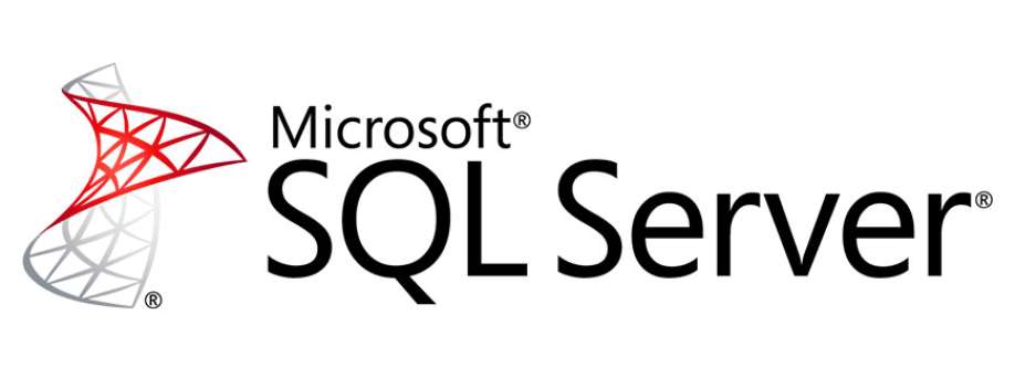 SQL Server Developer Training Cover Image
