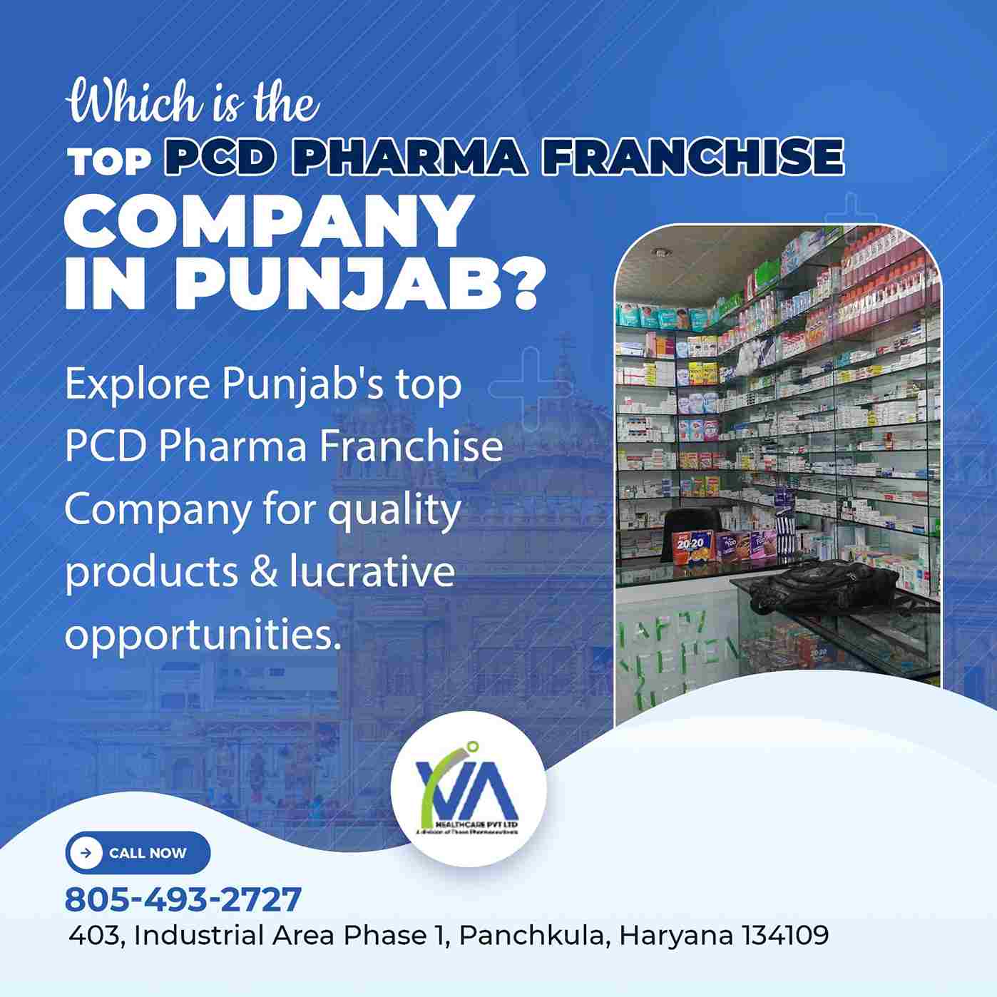 Which is the top PCD Pharma franchise Company in Punjab