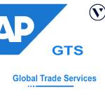 SAP GTS Online Training Profile Picture