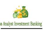 Business Analyst Investment Profile Picture