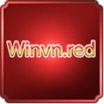 Winvn Red Profile Picture