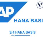SAP S4 HANA BASIS Training Profile Picture