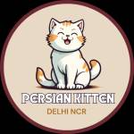 Persian Kitten Delhi NCR Profile Picture