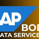 SAP BODS Online Training Profile Picture