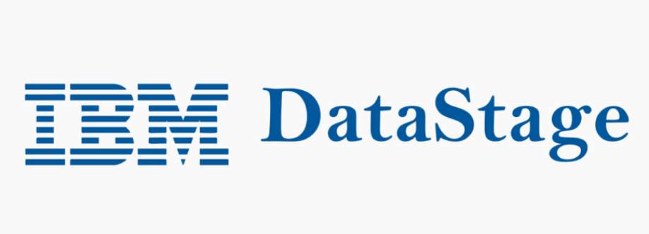 IBM Infosphere DataStage Trainin Cover Image