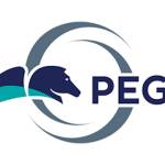 PEGA Online Training Profile Picture