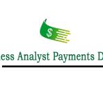 Business Analyst Payment Domain Profile Picture