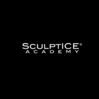 SculptICE® Academy - Business Services - Business to Business
