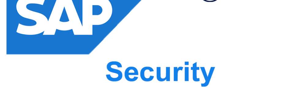 SAP Security Online Training Cover Image