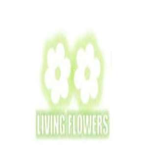 Living Flowers Profile Picture