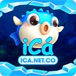 iCa icanetco Profile Picture