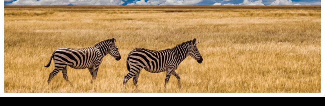 Kalahari Safaris Cover Image