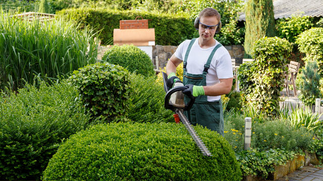 Comprehensive Gardening Services | LawnMowings