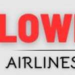 Lowest Airlines Deal Profile Picture