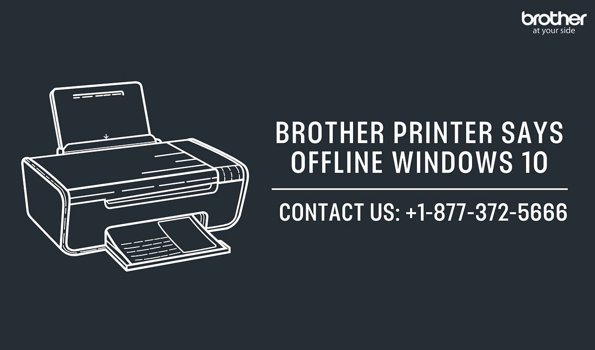 +1–877–372–5666 |Brother Printer Says Offline Windows 10 | Brother Printer Support | by Brother Printer Support | +1-877-372-5666 | Apr, 2024 | Medium