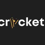 Cricket Betting Online Cricket Betting Profile Picture