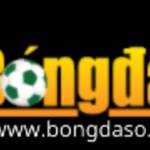bongdaso center Profile Picture