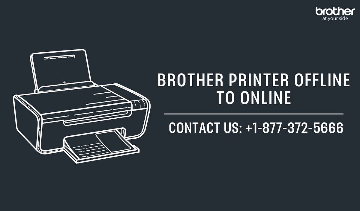 +1–877–372–5666|Brother Printer Offline to Online | Brother Printer Support | by Brother Printer Support | +1-877-372-5666 | Apr, 2024 | Medium