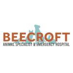 Beecroft Surgical Profile Picture