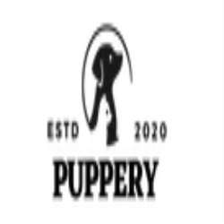 Puppery Profile Picture