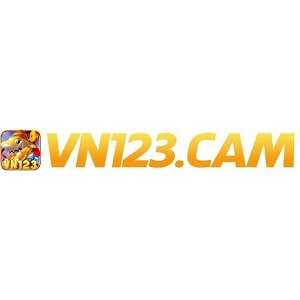 VN123 Profile Picture