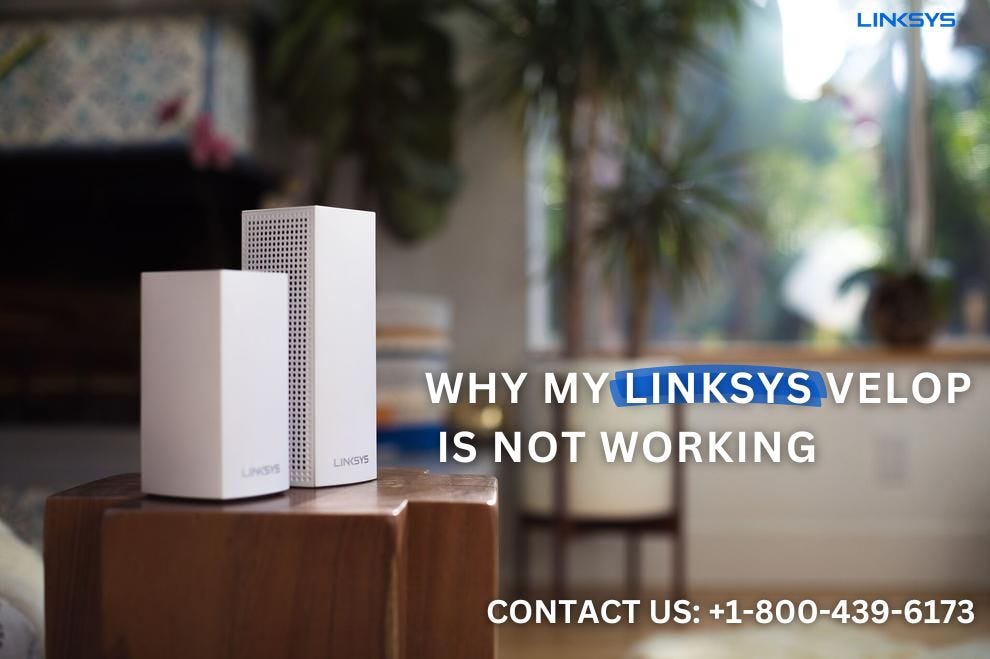 +1–800–439–6173 | Why My Linksys Velop Is Not Working | Linksys Support | by Linksys Support +1 (800) 439-6173 | Apr, 2024 | Medium