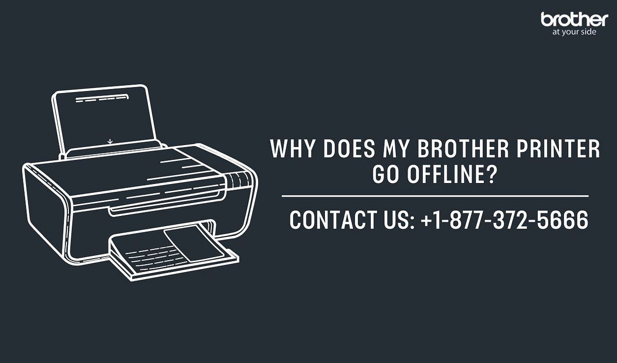 +1–877–372–5666 | Why Does My Brother Printer Go Offline? | Brother Printer Support | by Brother Printer Support | +1-877-372-5666 | Apr, 2024 | Medium