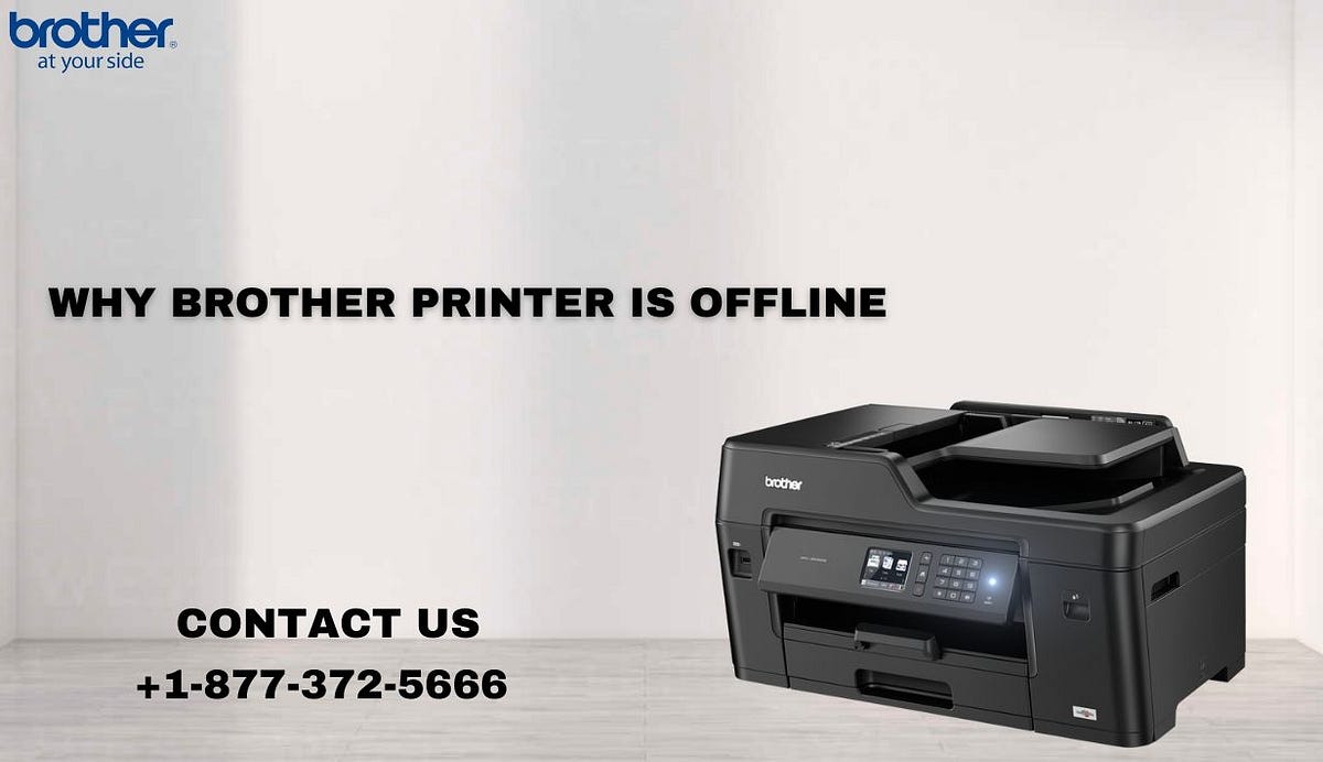 +1–877–372–5666 | Why Brother Printer Is Offline | Brother Printer Support | by Brother Printer Support | +1-877-372-5666 | Apr, 2024 | Medium