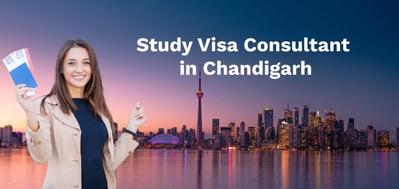 How a study Visa consultant can guide you through the application process? - abroadgateway