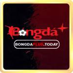 bongdaplus today Profile Picture