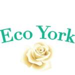 Eco York Profile Picture