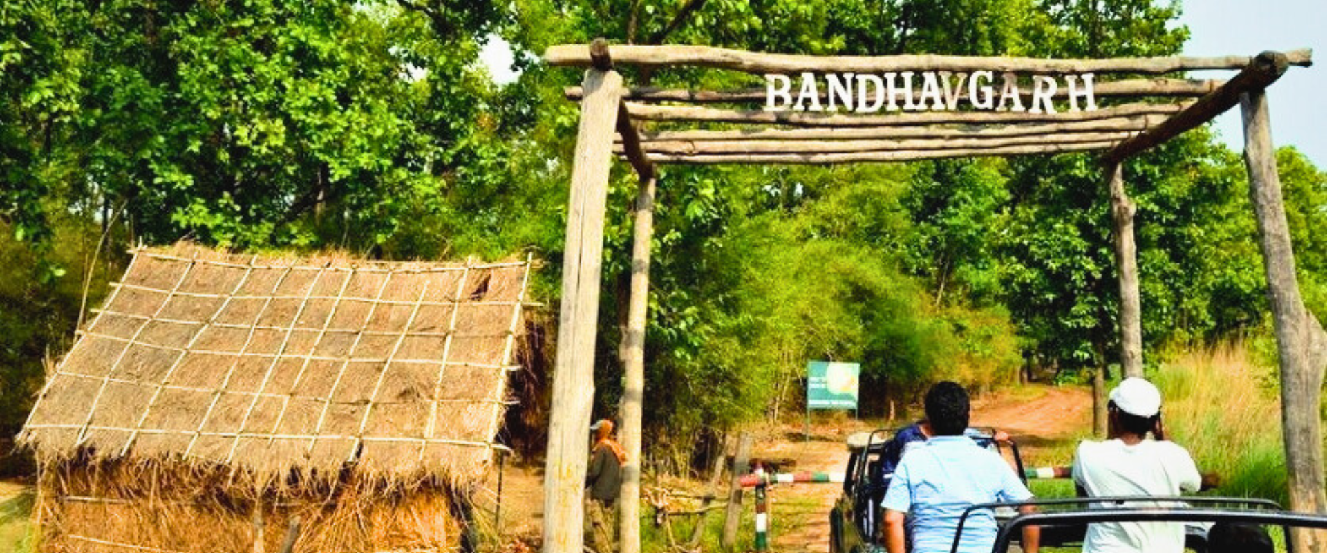 Bandhavgarh National Park | Bandhavgarh Booking Portal Online