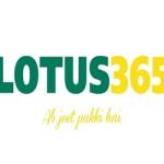 Lotus365 IDs Profile Picture