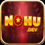 Nohu78 Dev Profile Picture