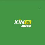 Xin88 Buzz Profile Picture