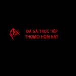 Đá Gà Trực Tiếp Thomo Hôm Nay Profile Picture