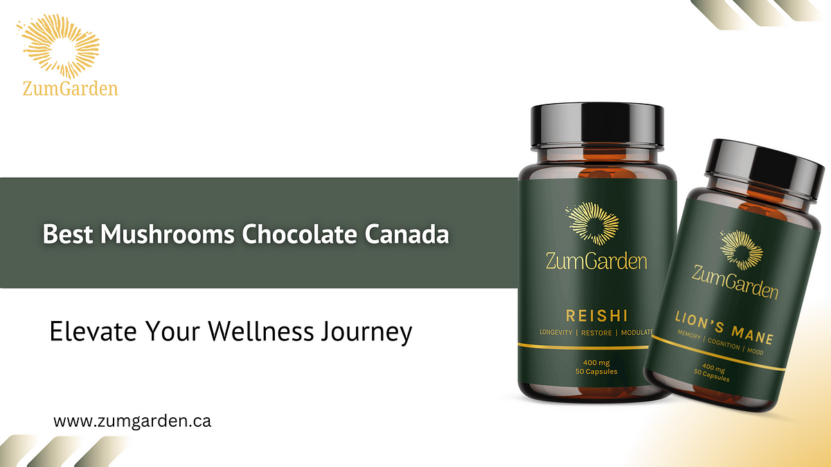 Best Mushrooms Chocolate Canada: Elevate Your Wellness Journey