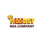 n66company Profile Picture