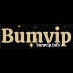 Bumvip Profile Picture