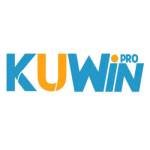 kuwin vnpro Profile Picture