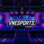 VNEsports Games Profile Picture