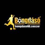 bongdaso66 soccer Profile Picture