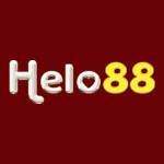 helo88 team Profile Picture