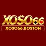 XOSO66 BOSTON profile picture