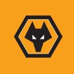 Wolves fanclub Wolves VN Profile Picture