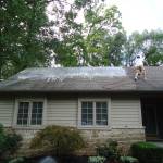 Moss Removal Roof George profile picture